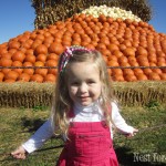 pumpkin patch pyramid