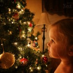 Ellie Christmas tree