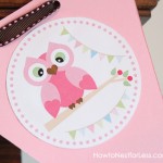 owl birthday party banner
