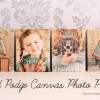 canvas-photo-mod-podge-prints1