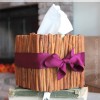 cinnamon stick tissue box