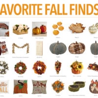 Favorite Fall Finds