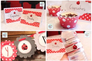Ladybug Birthday Party with FREE Printables - How to Nest for Less™