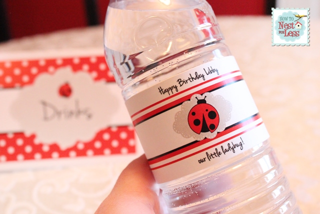 Up close picture of the water bottle with the ladybug printable on it.