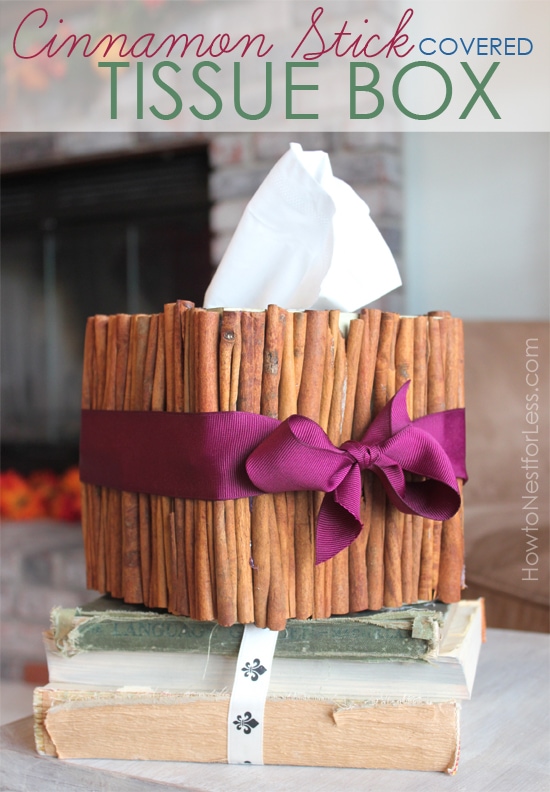 Cinnamon sticks covering a tissue box with a purple ribbon around it.