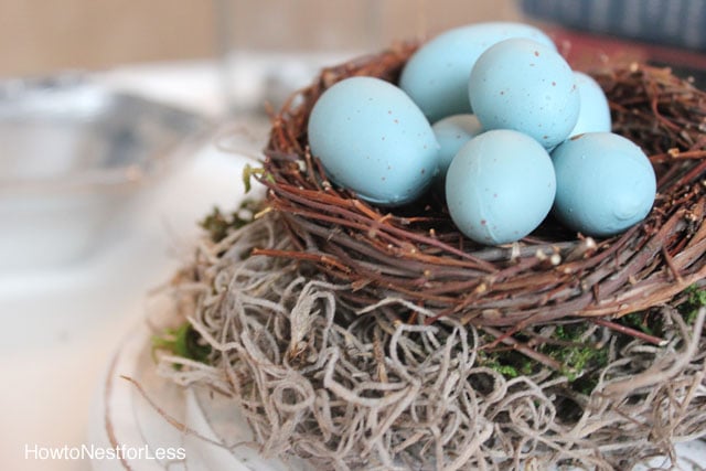 birds nest glass cloche