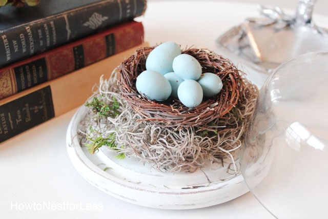 Spring Bird’s Nest Cloche