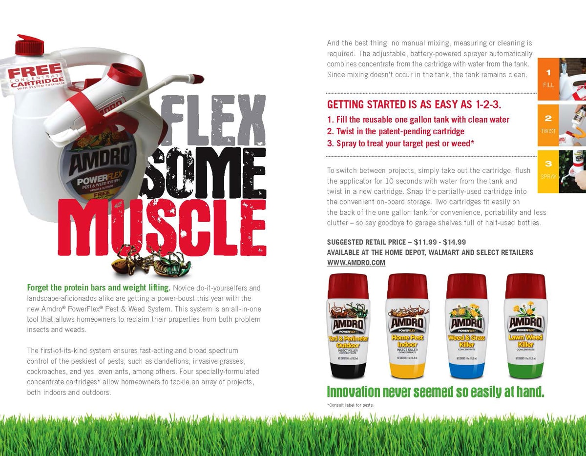 Flex Some Muscle_Infographic