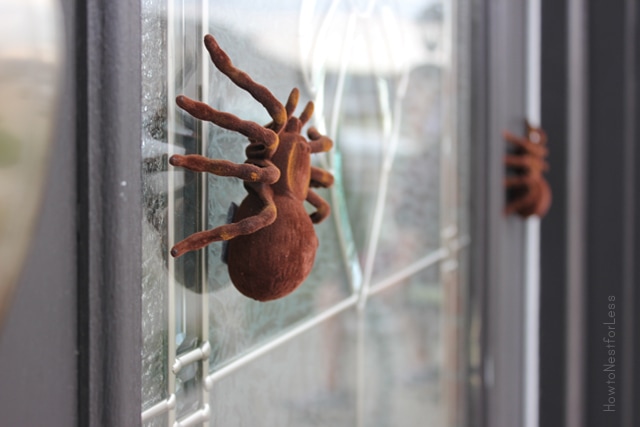 Halloween tarantula front door