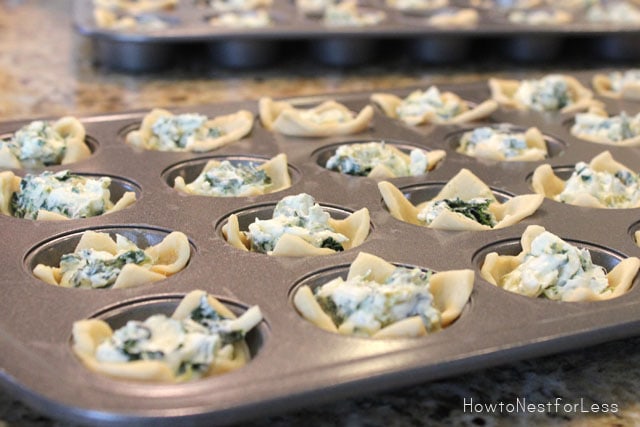 Kickin' Spinach Cheese Bites