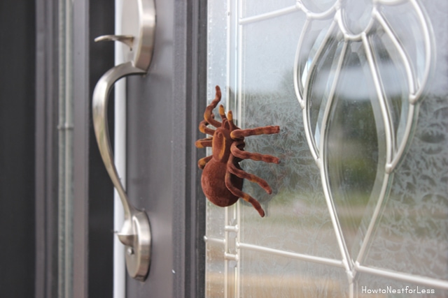 tarantula spider wreath