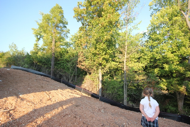 Large trees and the land cleared for the patio.