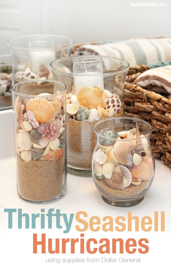 thrifty seashell hurricanes