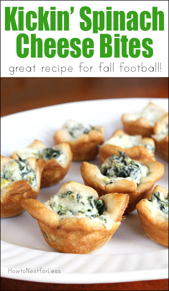 Kickin-Spinach-Cheese-Bites-recipe