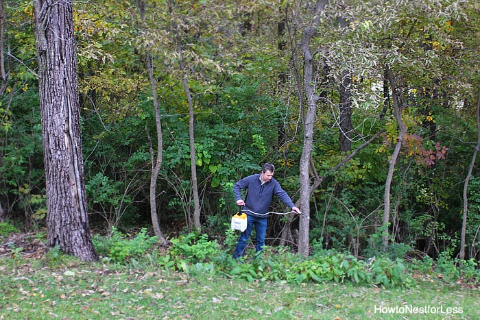 backyard clean up for fall