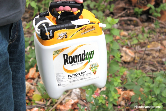 roundup poison ivy killer