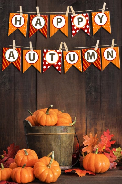 Small pumpkins in wooden bucket on table