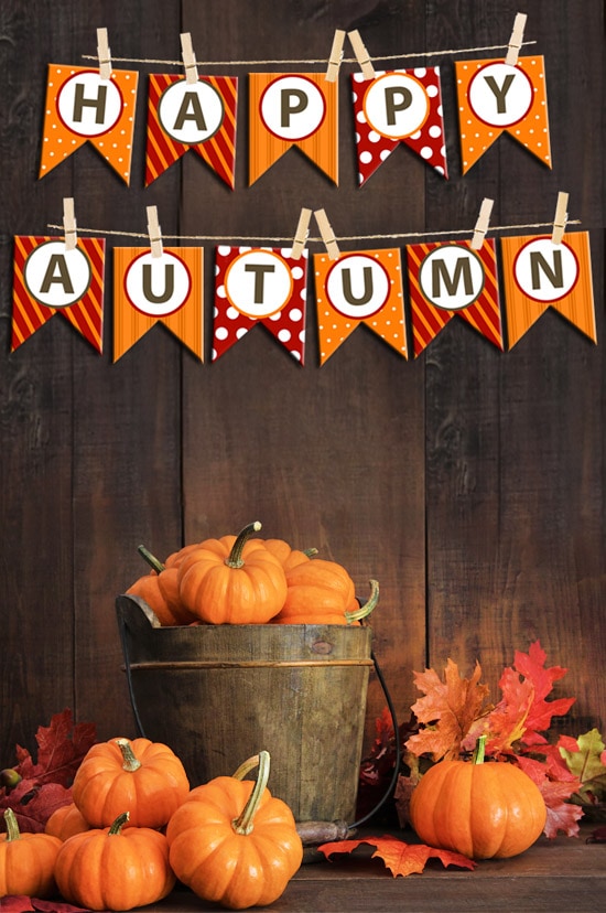 happy fall bunting banner