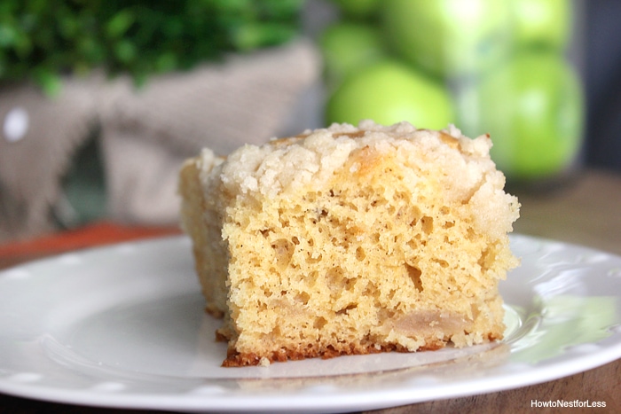 Up close picture of fluffy apple cake.