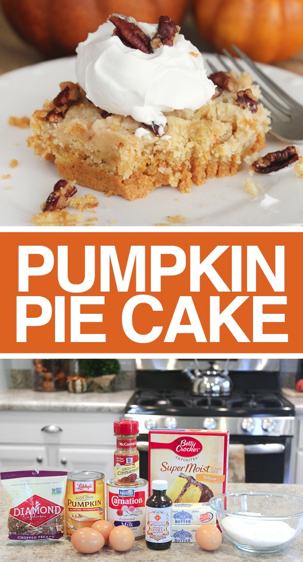 Pumpkin pie cake poster.