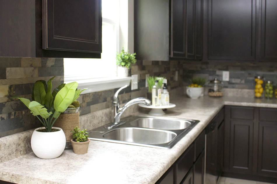 Green plants on counter in kitchen.