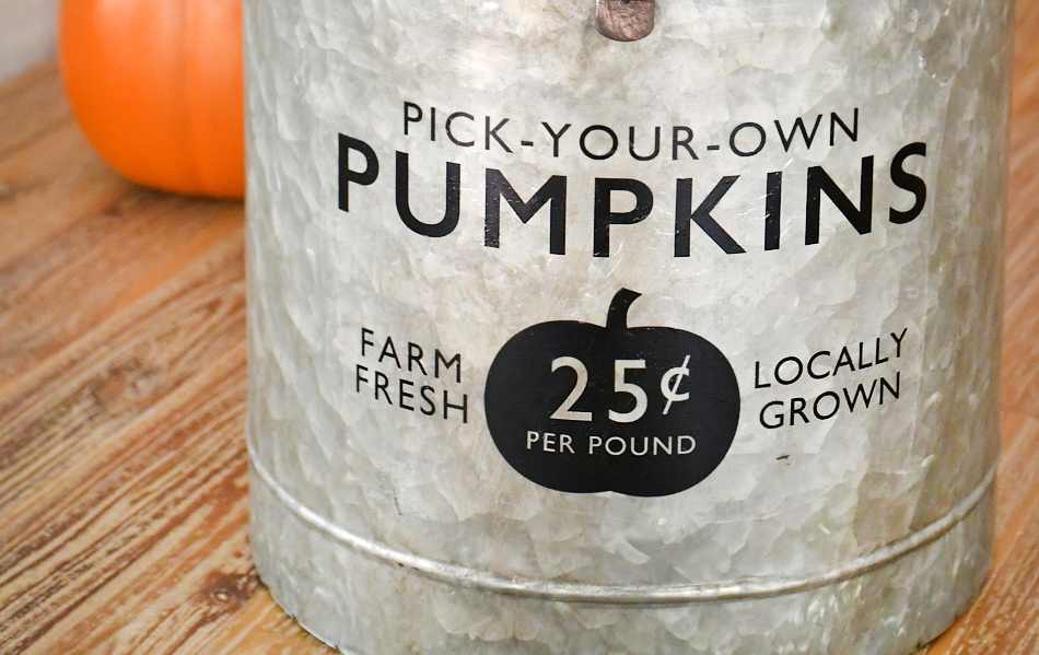 The black pick your own pumpkins on the bucket.