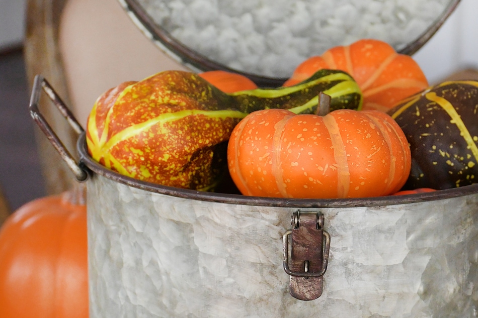 Pumpkins and gourds in the bucket.