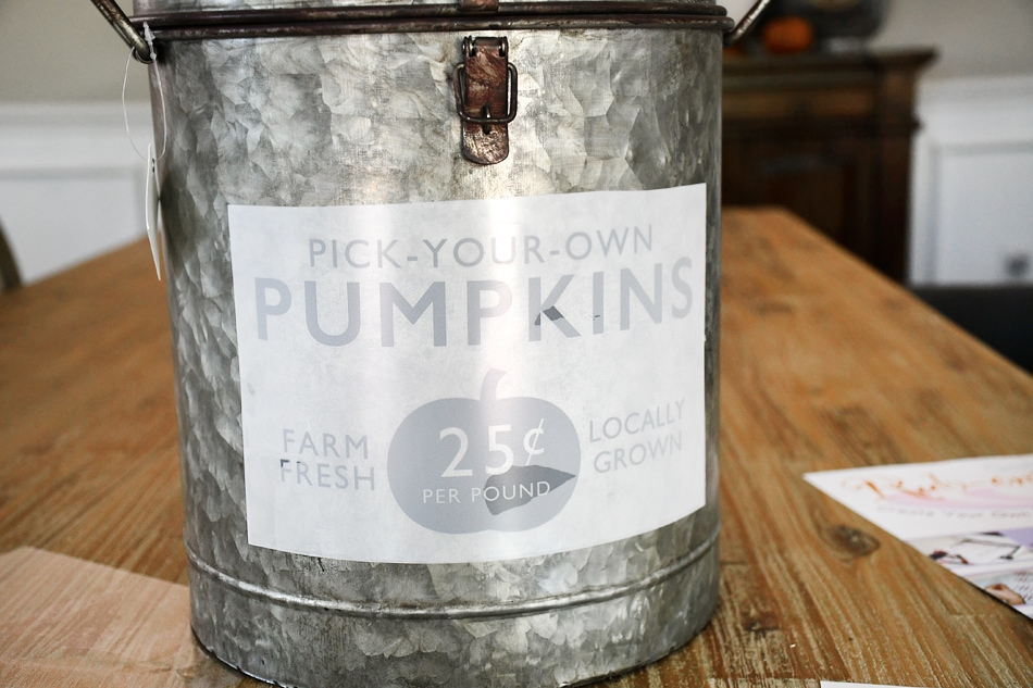 The pumpkin sticker on the galvanized farmhouse bucket.