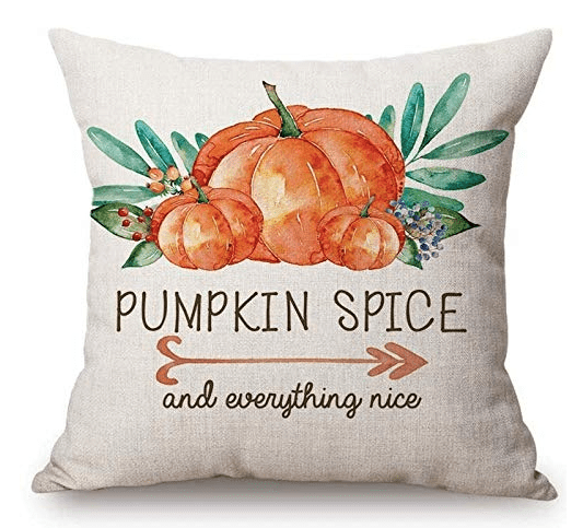 pumpkin spice and everything nice pillow
