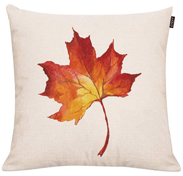 20 Fall Pillow Covers for Under $10 - How to Nest for Less™