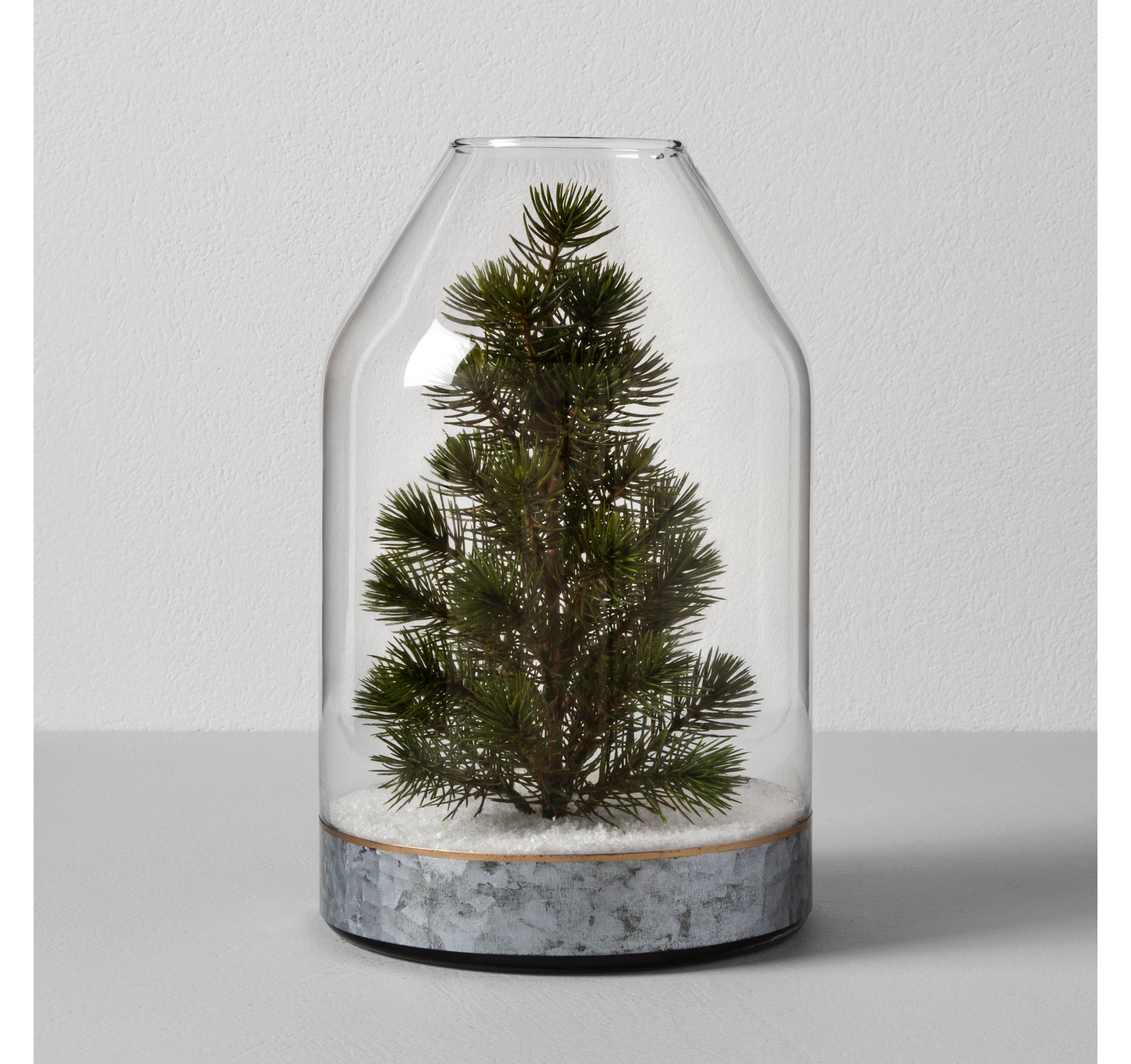 Glass cloche with a tree inside it.