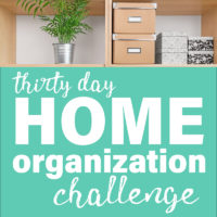 30 Days of Organization Challenge