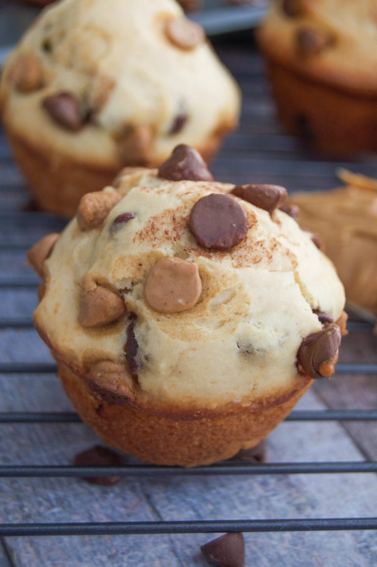 chocolate peanut butter muffins